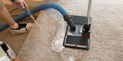 Carpet Deodorization and Sanitization
