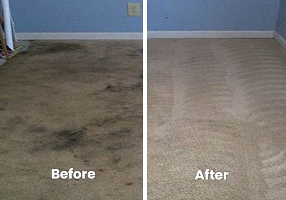 Carpet Water Damage Sydney