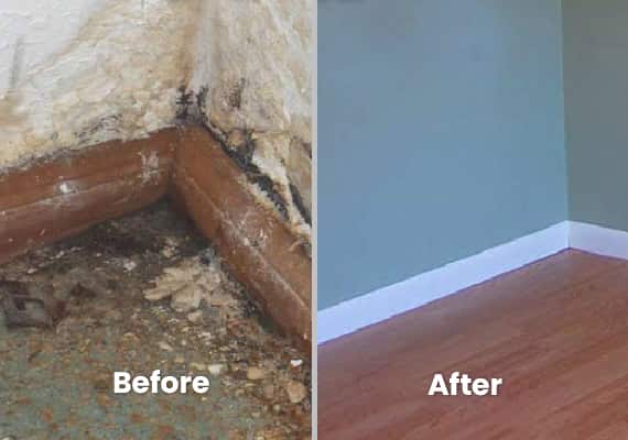 Flood Water Damage Repair Service