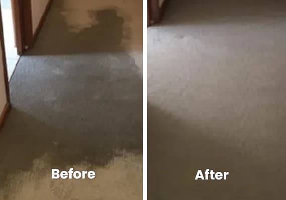 Water Damage Restoration Service.jpg