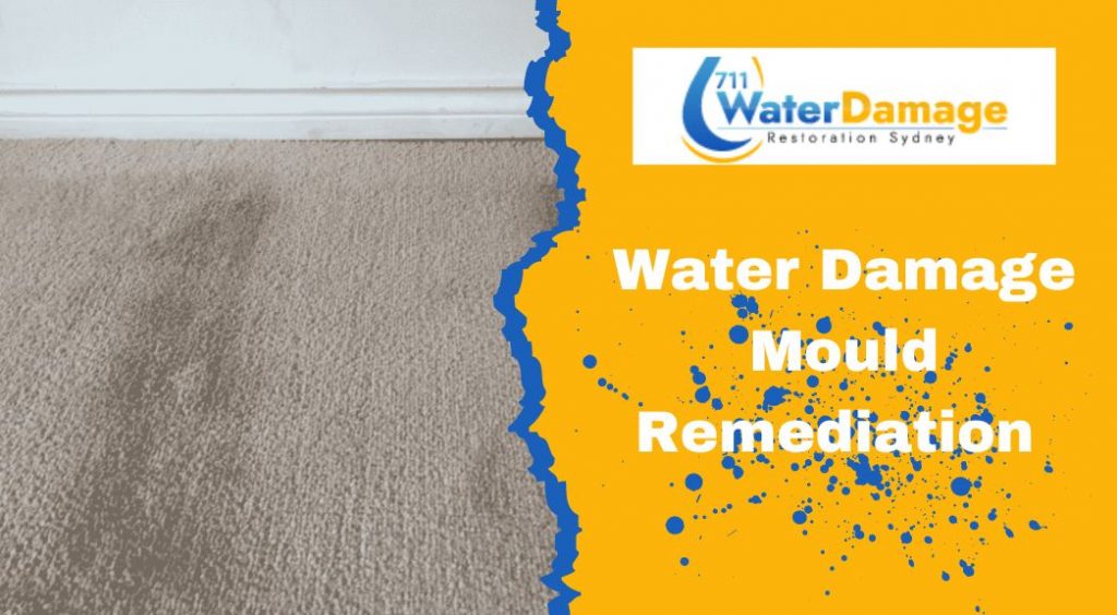 Water Damage Mould Remediation